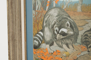 Vintage Raccoon Watercolor