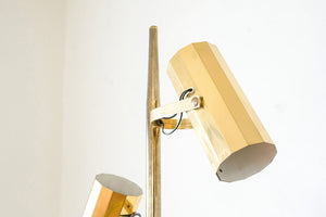 MCM Brass Floor Lamp