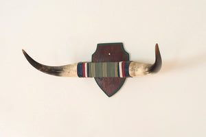 Vintage Bull Horns