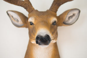 Faux Taxidermy Deer Head