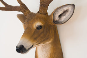 Faux Taxidermy Deer Head