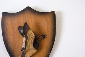 Nature Craft Duck Mount