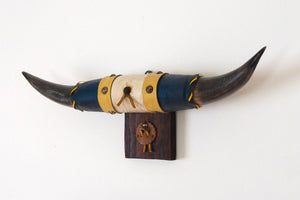 Vintage Bull Horns